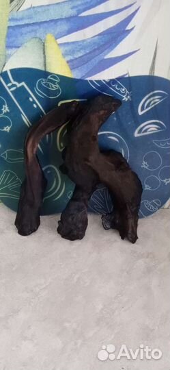 Коряги для аквариума