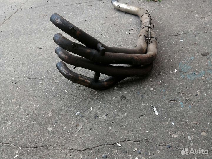 Паук на kawasaki