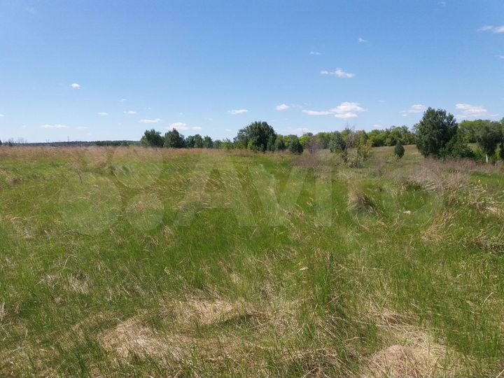 Участок 2,6 га (ИЖС)