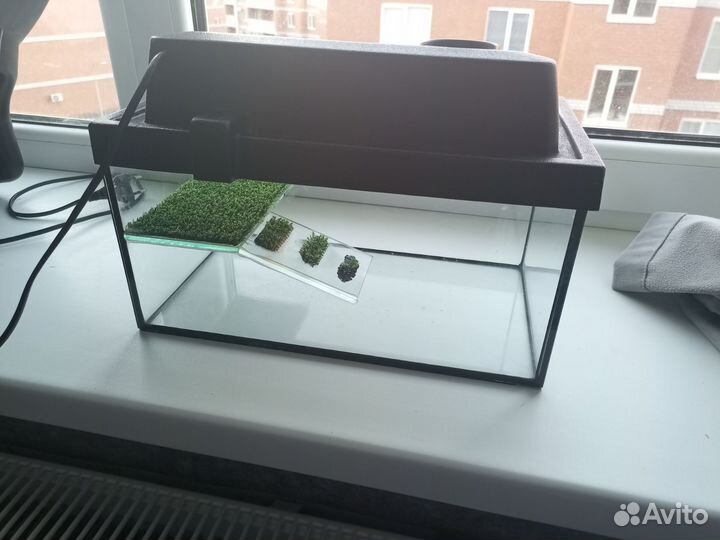 Аквариум для черепах