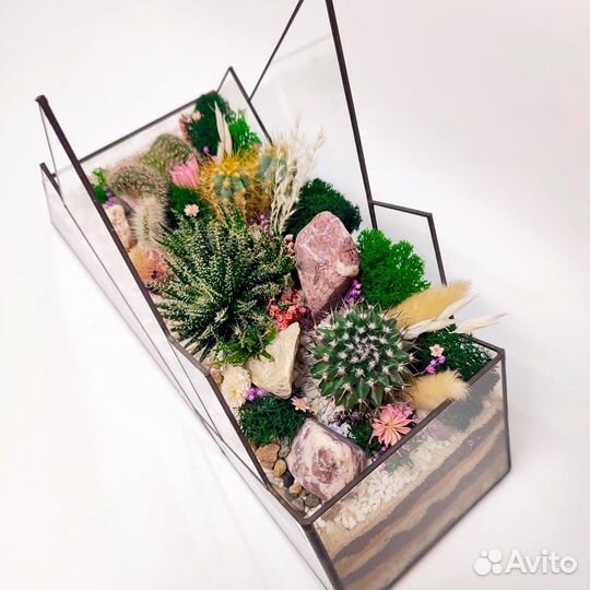 Флорариум “Горы с кактусами” 30х20см