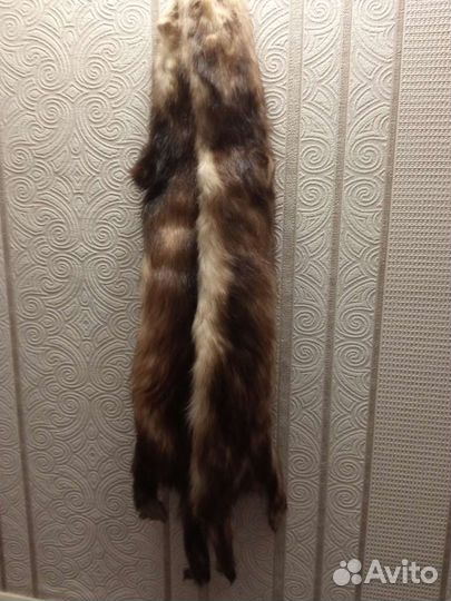 Шкурка животного