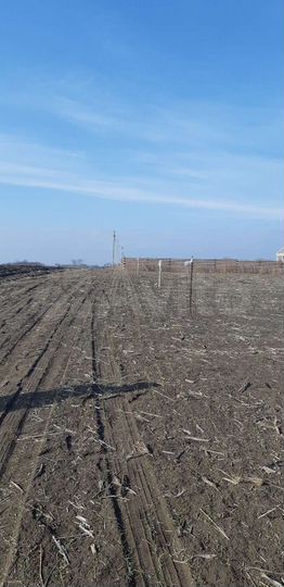 Участок 25 сот. (ИЖС)