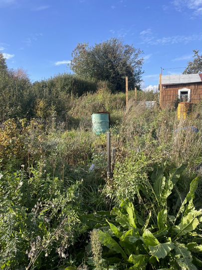 Дача 10 м² на участке 3 сот.