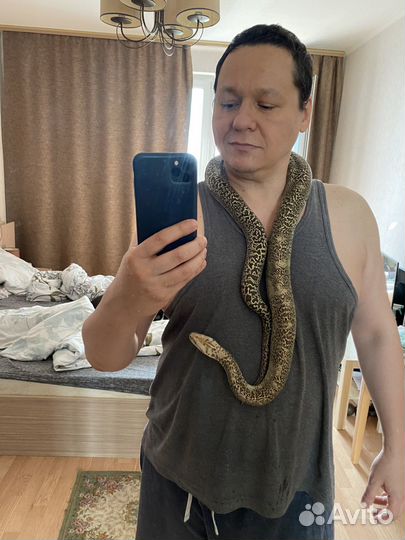 Большая змея (granite)