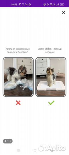 Лоток для собак маленьких пород