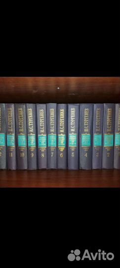 И. С. Тургенев 