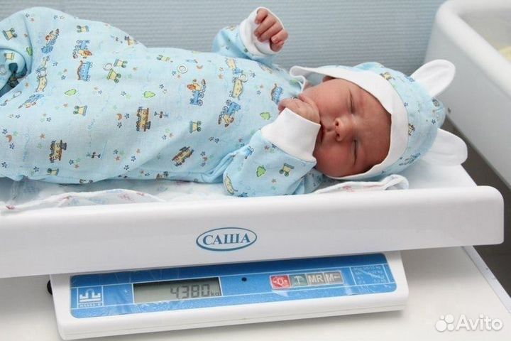 Аренда весов Саша. Максимально точные