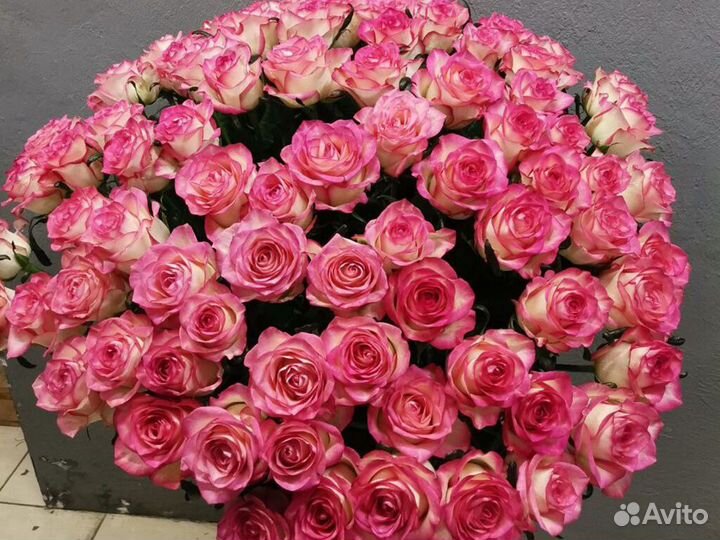 101 роза букет цветов цветы опт 15 21 25 31 45 51