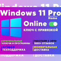 Windows 11 Professional Retail/OEM