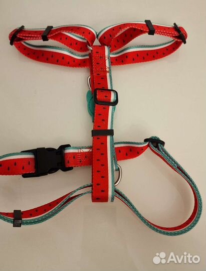 Zee.dog шлейка. Новая
