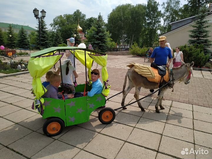 Тележка экипаж сани для пони двуколка