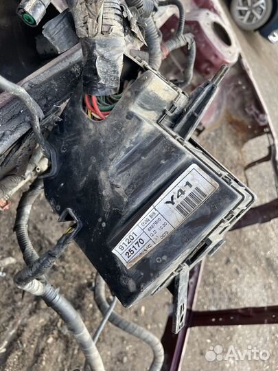 Проводка подкапотная Hyundai Accent 2 1.5 Тагаз