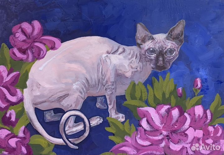 Канадский сфинкс (картины)