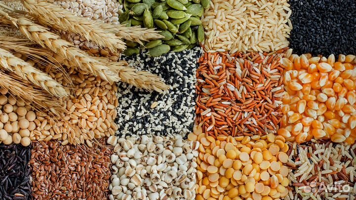 Зерносмесь универсальная