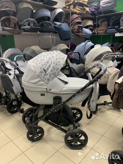 Коляска Anex Cross Ecco premium