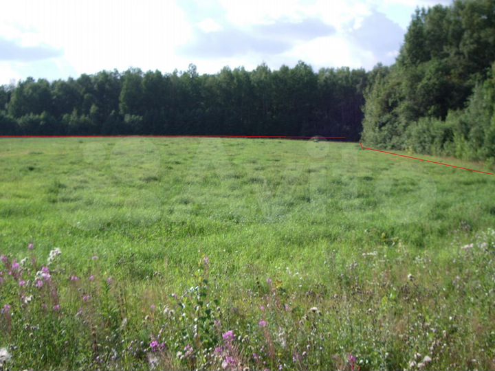 Участок 4,8 га (СНТ, ДНП)