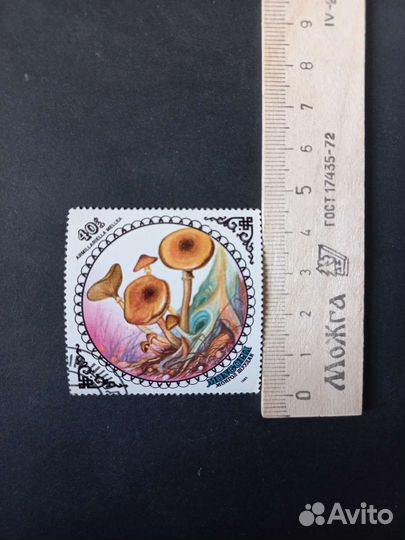Марки 7 штук Mongolia Монголия грибы 1985