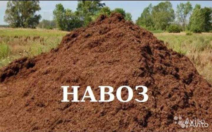 Доставка навоза перегной