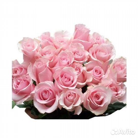 Цветы розы букет