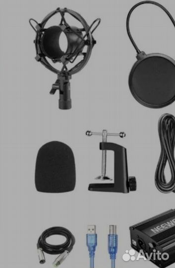 Студийный микрофон BM 800 и звуковая карта V8