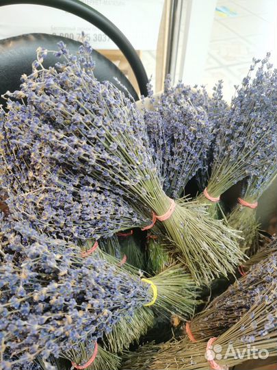 Лаванда букет