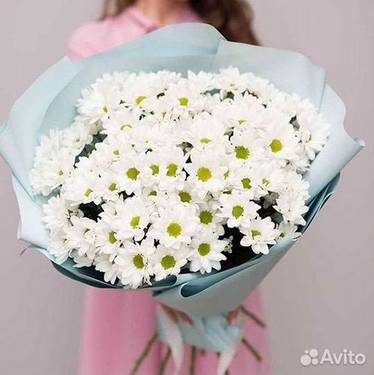 Хризантема Букет хризантем Доставка