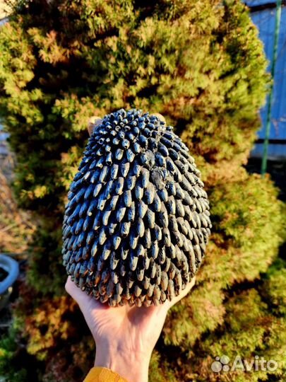 Фигура садовая 