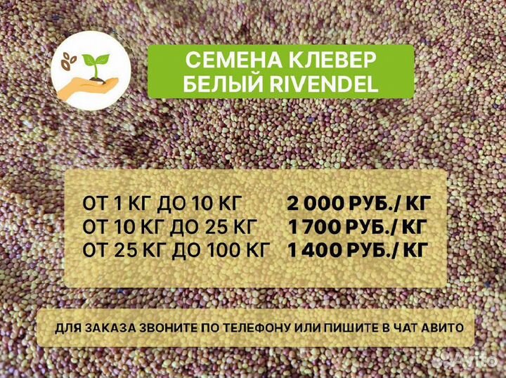 Семена клевер белый Мерлин