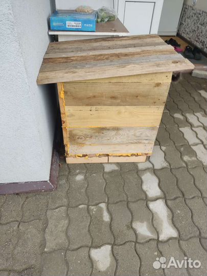 Будка бесплатно