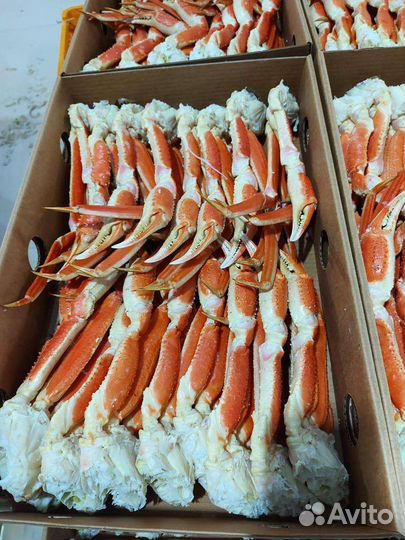 Краб камчатский