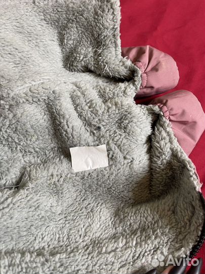 Одежда для собак