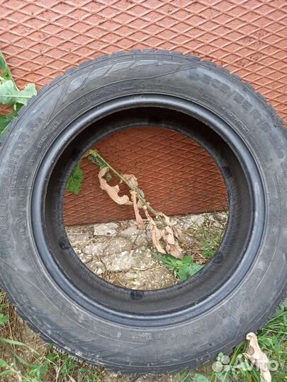 Nokian Tyres Hakkapeliitta R2 205/55 R16 94R