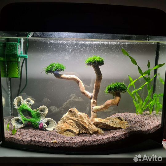 Дерево для мха в аквариуме, коряга