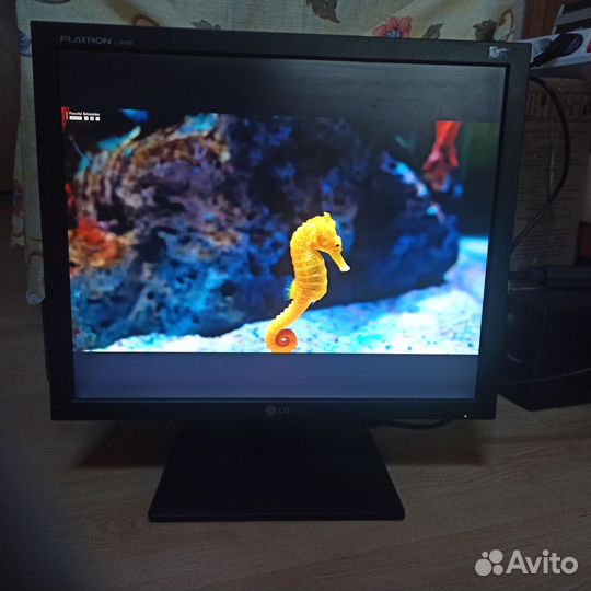 Монитор LG flatron L1919S