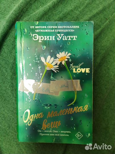 Книга одна маленькая вещь
