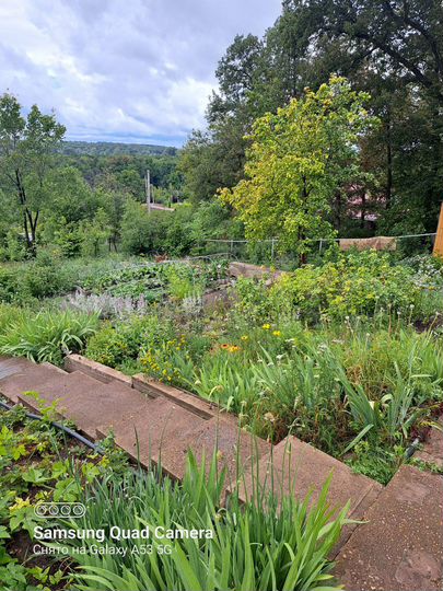 Дом 30 м² на участке 15 сот.