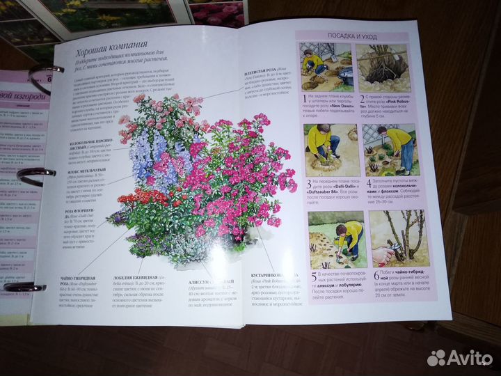 Полная энциклопедия 