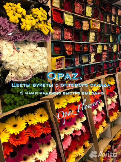 101 роза 51 роза 25 15 роз Цветы Букеты Доставка