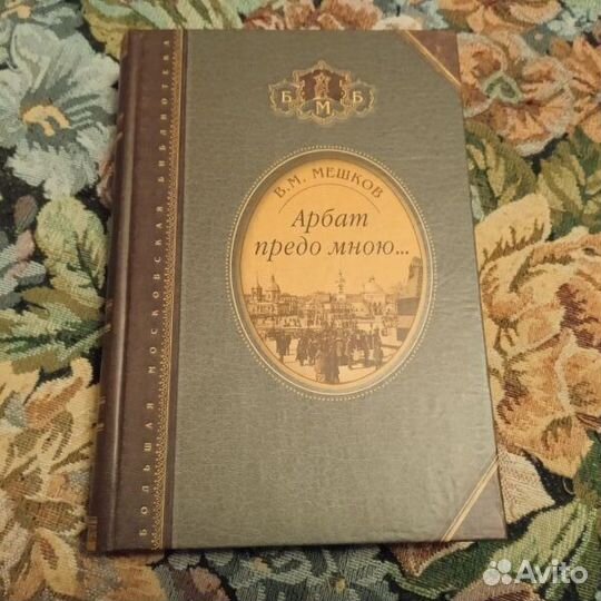 Мешков. Арбат предо мною
