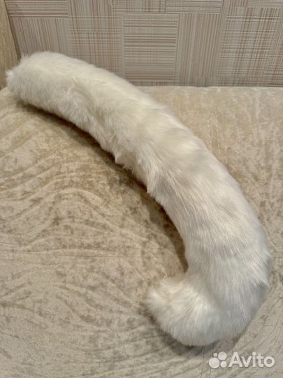 Кошачий хвост