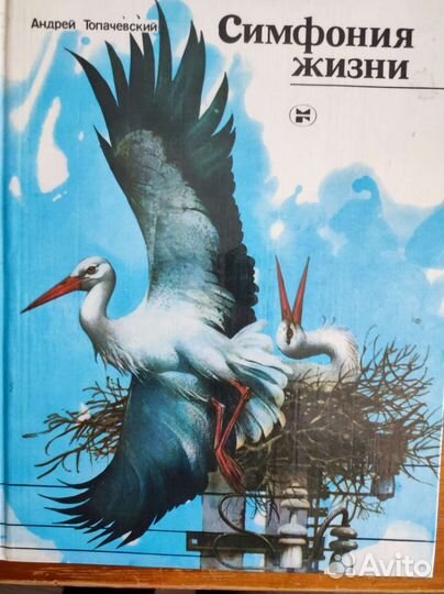 Симфония жизни