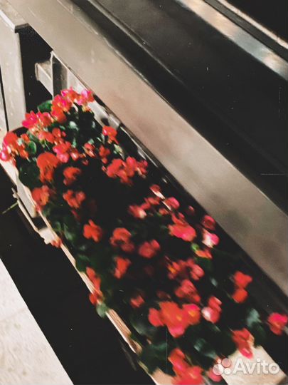 Мобильная съемка