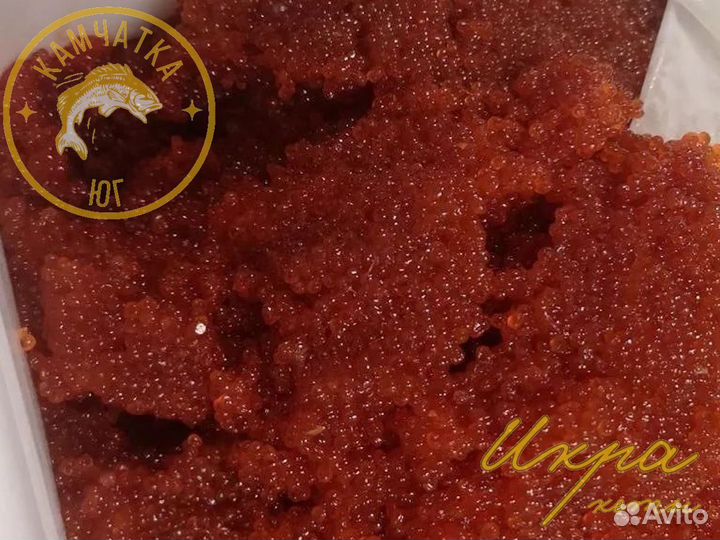 Икра кеты 2023