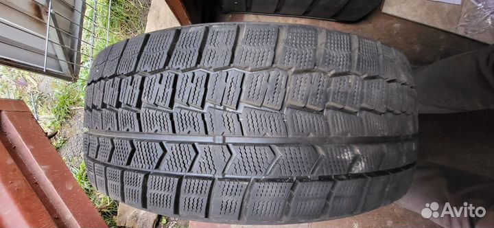Dunlop Winter Maxx 205/50 R17 93T