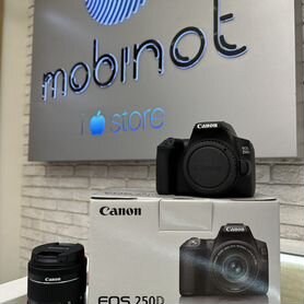 Canon EOS 250D Kit EF-S 18-55mm IS STM