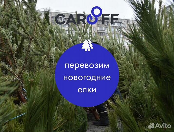 Перевозка новогодних елок. Тент фура 10-20 тонн