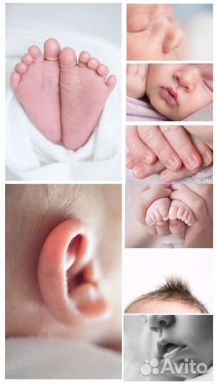 Семейный и детский фотограф