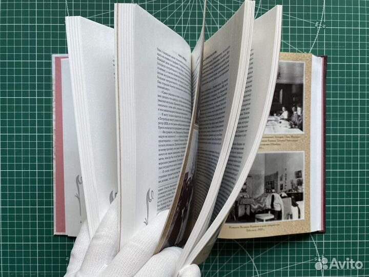 Жизнь и трагедия Александры Федоровны, Императрицы