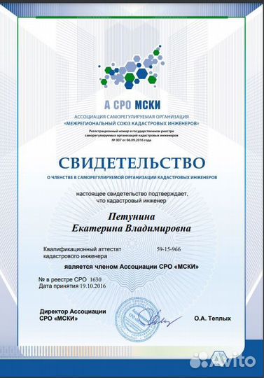 Кадастровый инженер, проект планировки территории